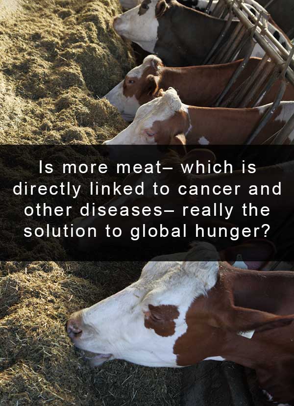 The drug free meats debate misses the point. To feed the world, we need to eat more plants.