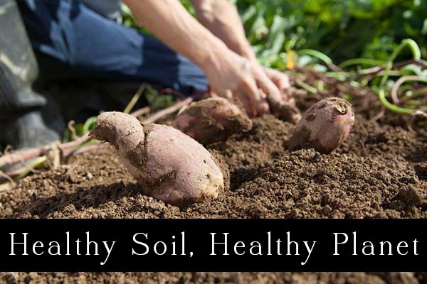 Healthy soil is critical to our food future, and supporting regenerative farming is an important piece of that puzzle.