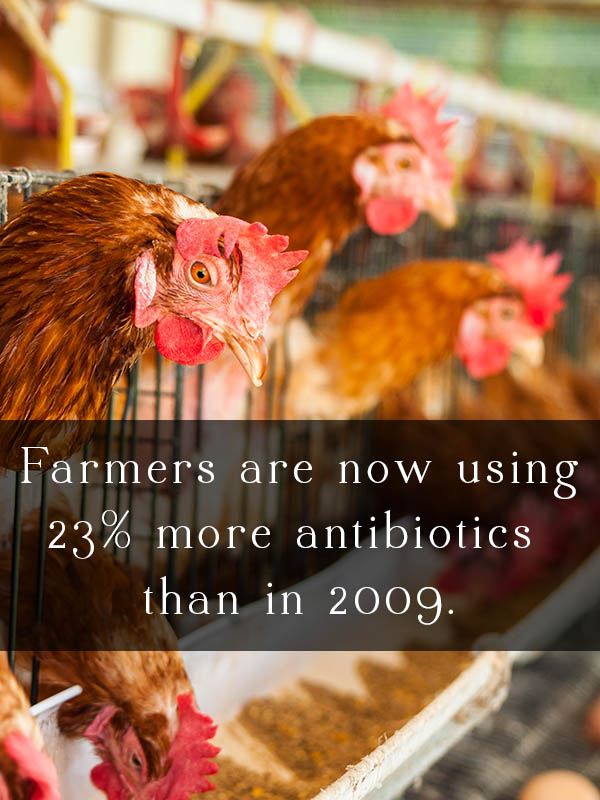 Farm antibiotic use increased yet again in 2014. Farmers are now using 23% more antibiotics than they were in 2009.