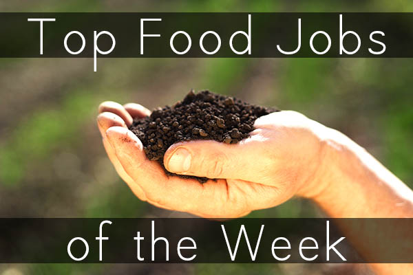 Looking for a job in the world of sustainable food? Here are the top food job listings from Green Job Post.