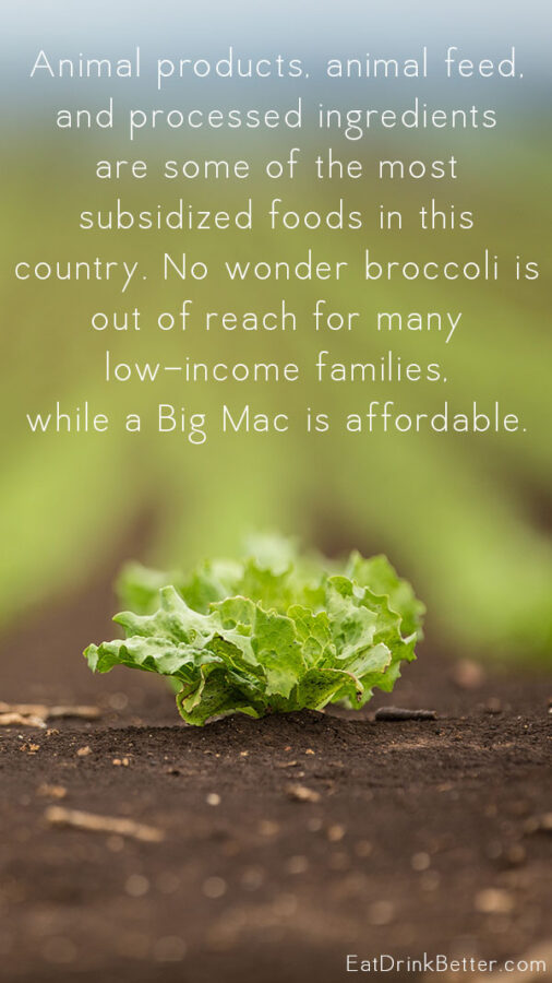 It's no secret that a plant-based diet protects us from chronic disease, but for many Americans, the problem isn't that they want to eat unhealthy food. It's that the healthiest foods are also the most expensive.