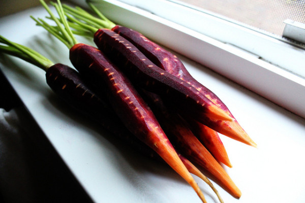 Not all carrots are orange!