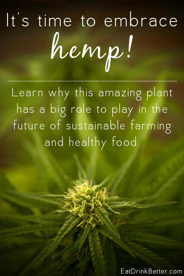 What is hemp, and how does it fit into the future of our food supply? Here's a primer about hemp production and the benefits of this amazing plant.