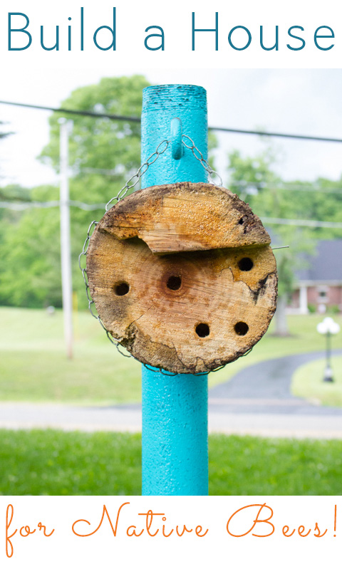 Make your garden even more pollinator-friendly by building a DIY mason bee house. It's easy!
