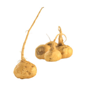 maca root