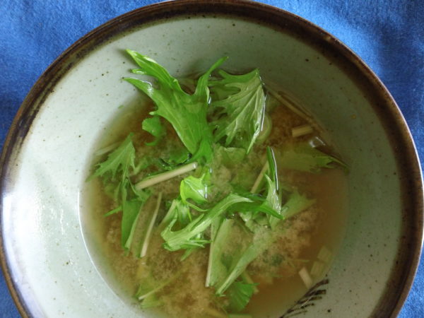 miso soup