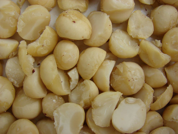 Macadamia Nuts 