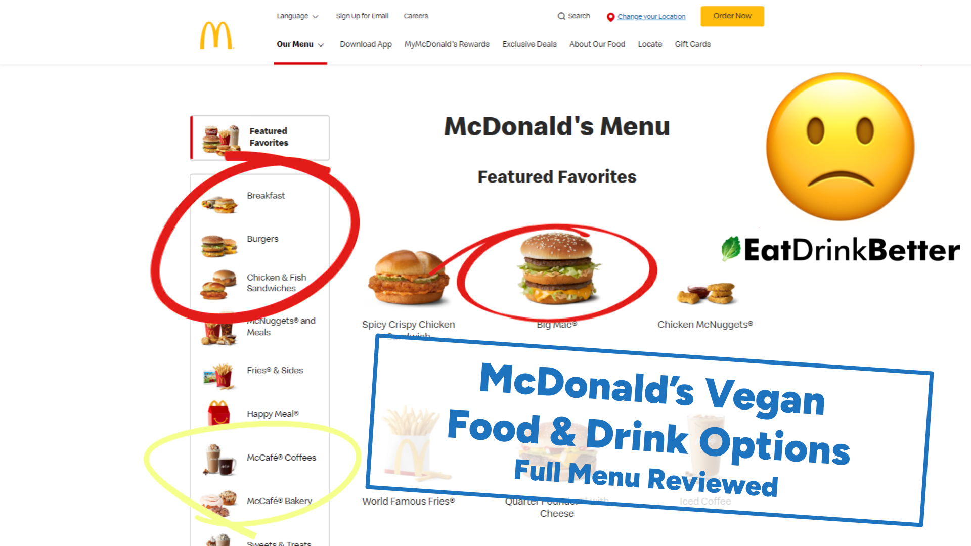 McDonalds Vegan Food & Drinks [2022 Menu & Options]