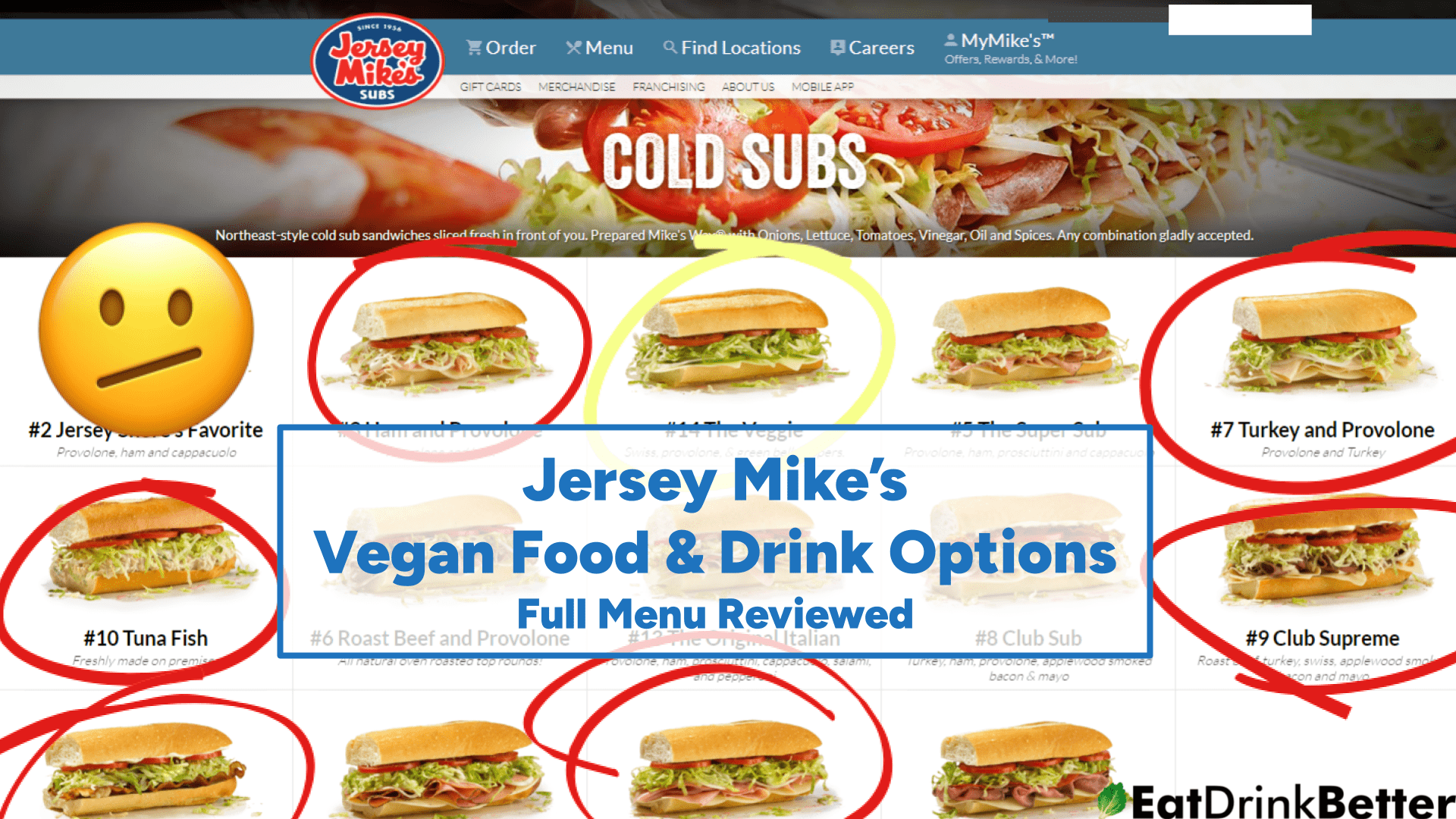 10 Tuna Fish - Cold Subs - Jersey Mike's Subs
